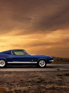 muscle car, gt500, автообои, закат, ford mustang, car, форд