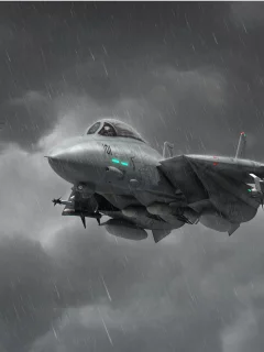 f-14, истребитель, реактивный, перехватчик, томкэт