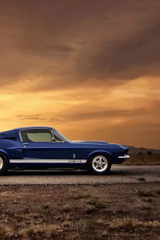 muscle car, gt500, автообои, закат, ford mustang, car, форд