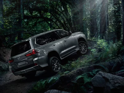lexus, lx, 570, в лесу