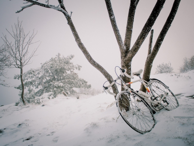 зима, снег, дерево, велосипед, спорт, колесо, холод