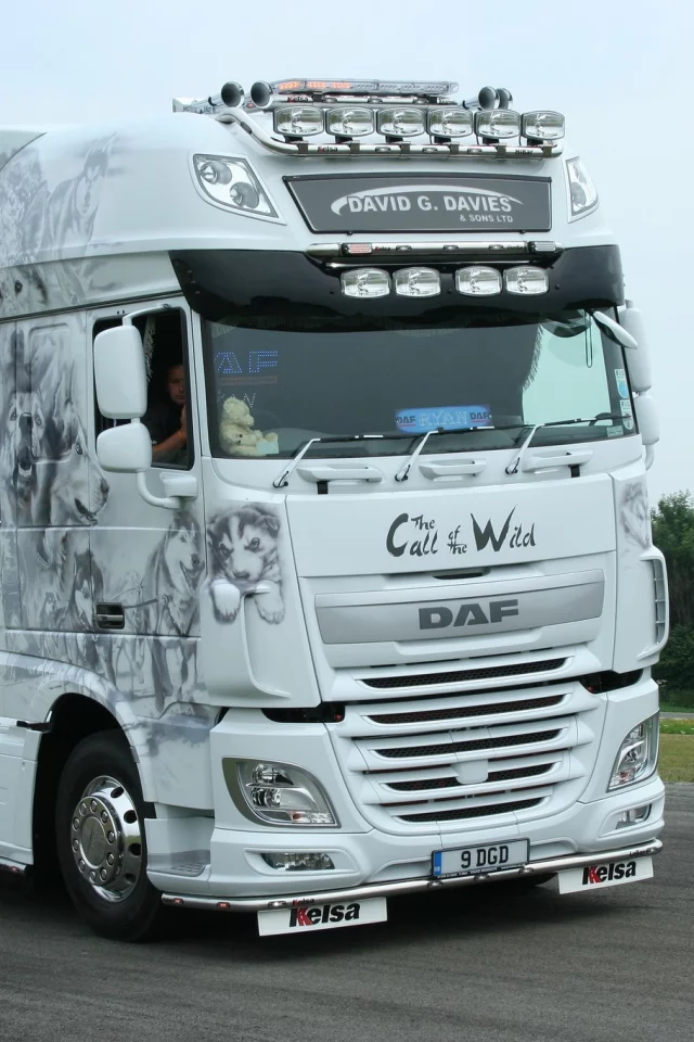 машины, daf