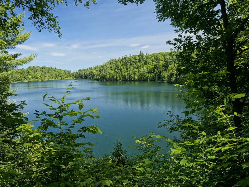 пейзаж, озеро, леса, парки