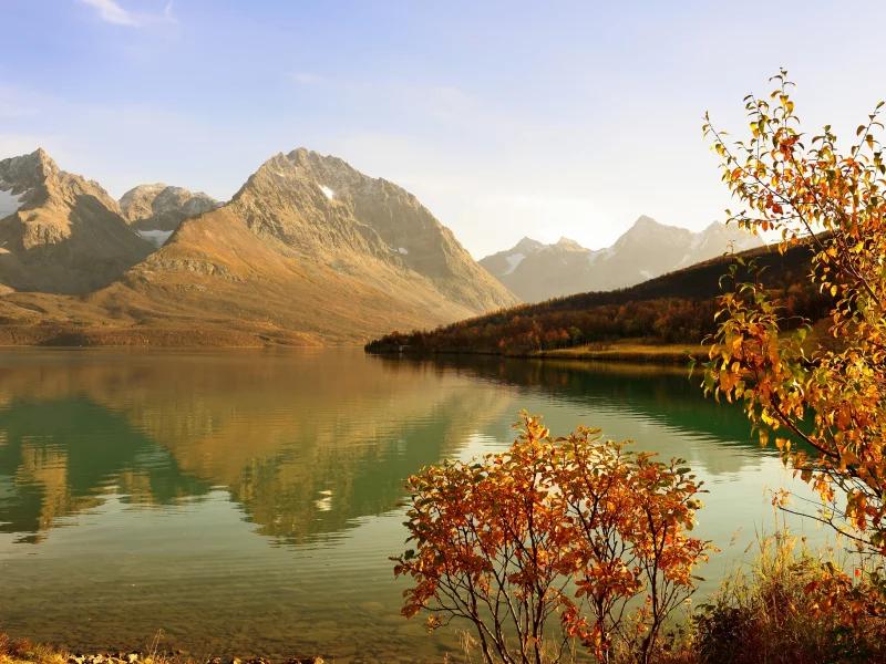 кустарник, осень, лес, горы, залив, дерево