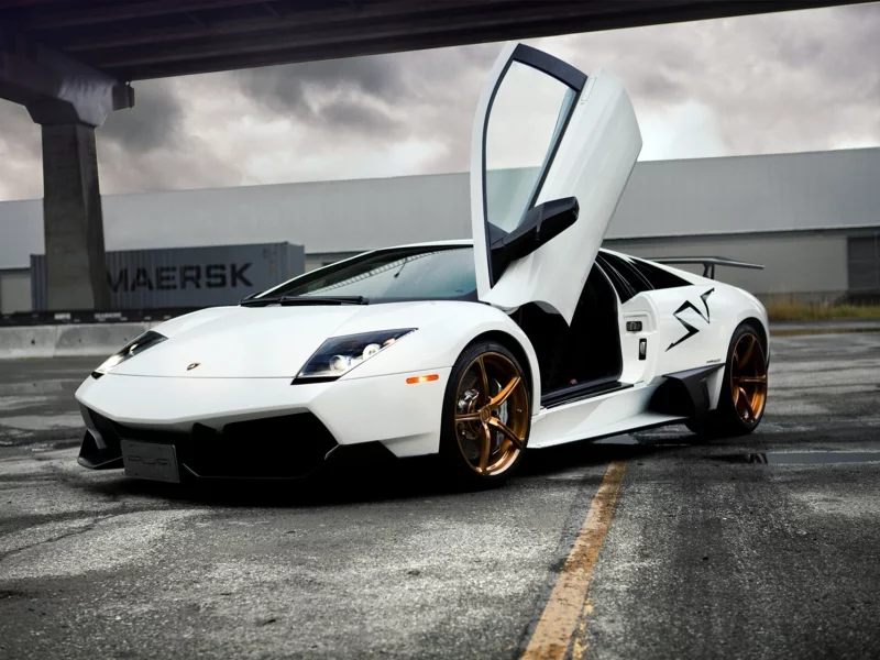 lamborghini, белая, murcielago