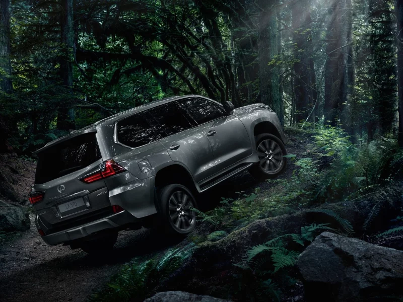 lexus, lx, 570, в лесу