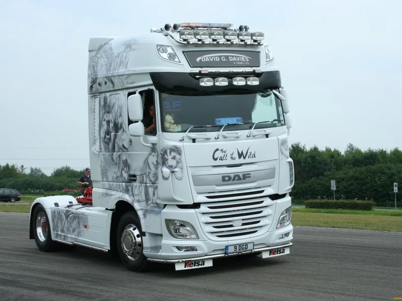 машины, daf