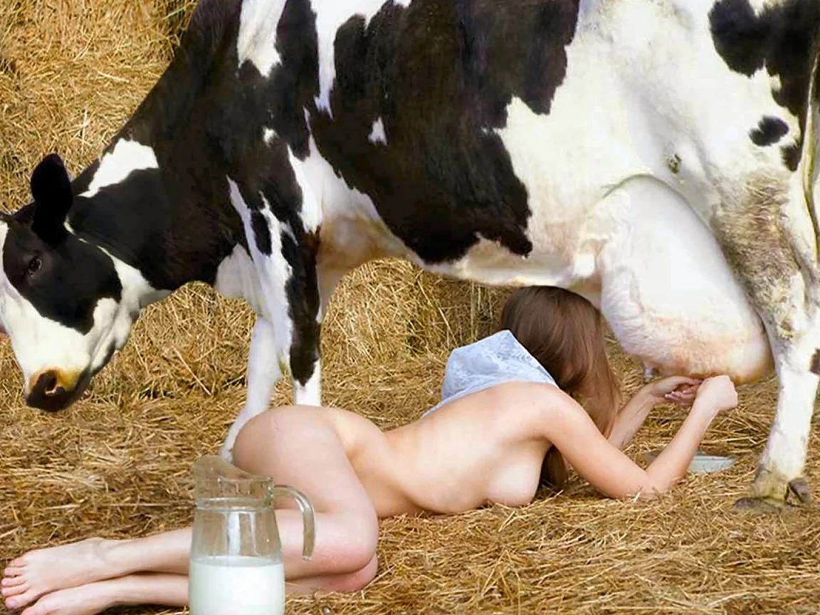 девушка, блондинка, стройная, грудь, природа, корова