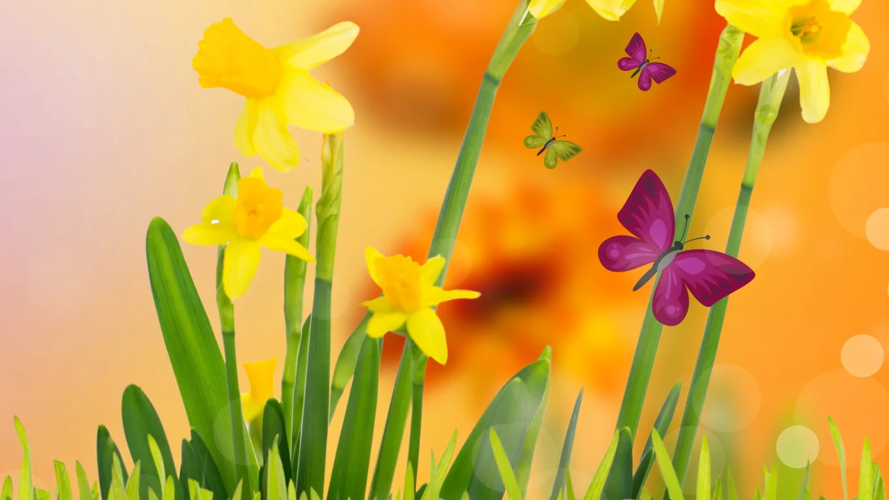 butterflies, meadow, весна, spring, желтые, flowers, yellow, цветы