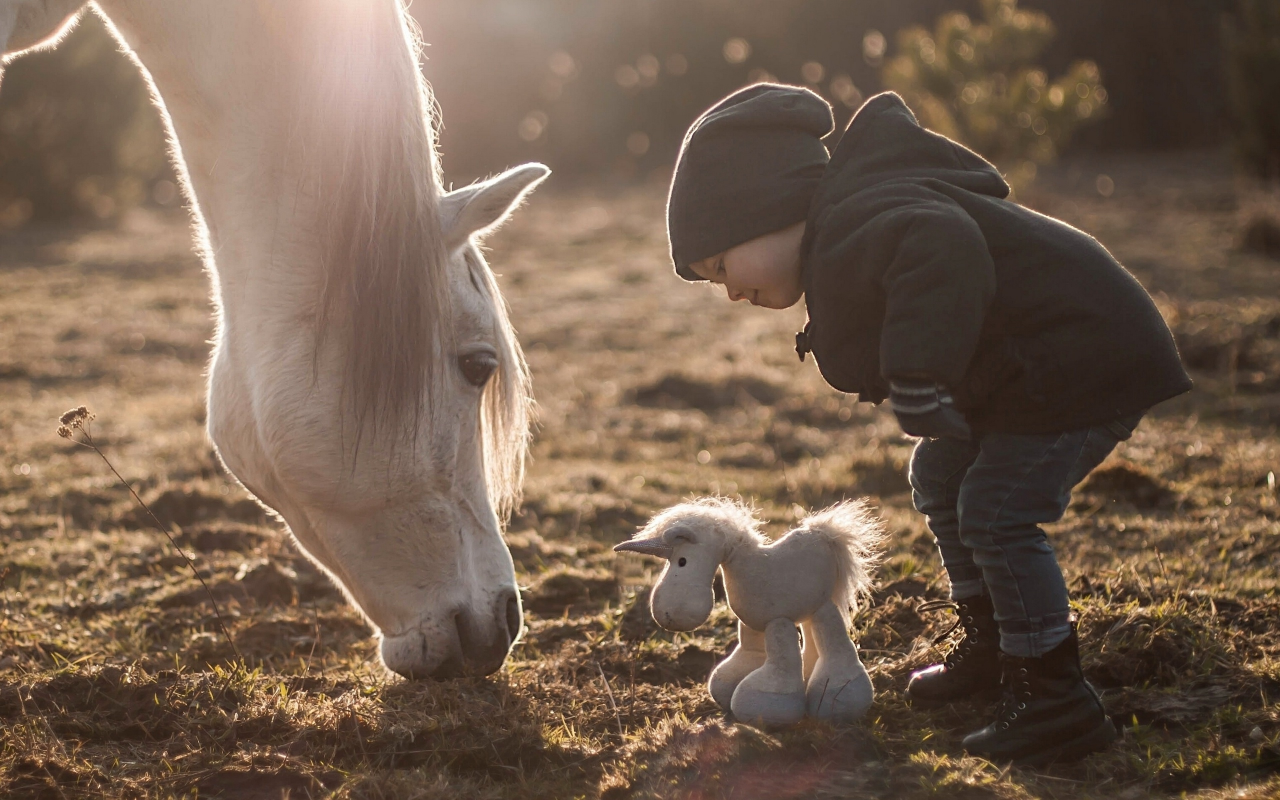 ребенок, лошадь, игрушка, пони, конь, животное, единорог, мальчик, сын, детство, белый