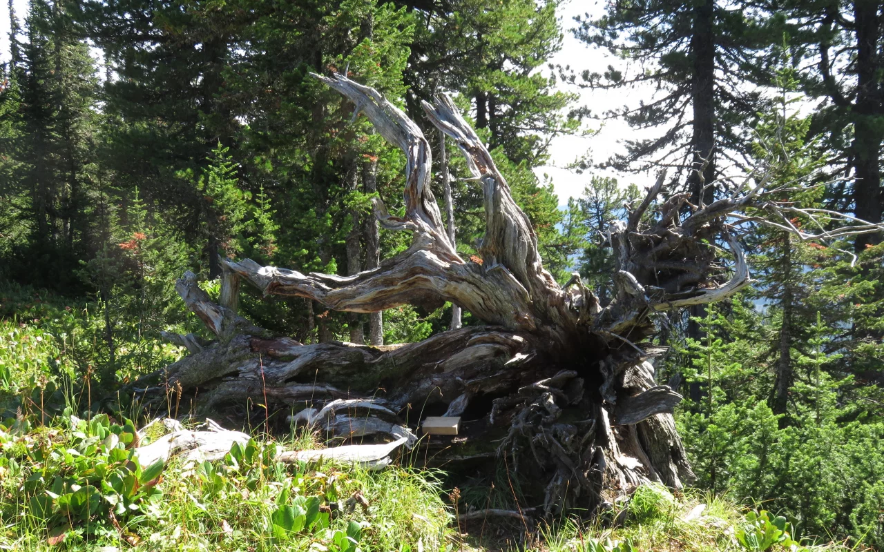 каменный городок, саяны, скала, тп
