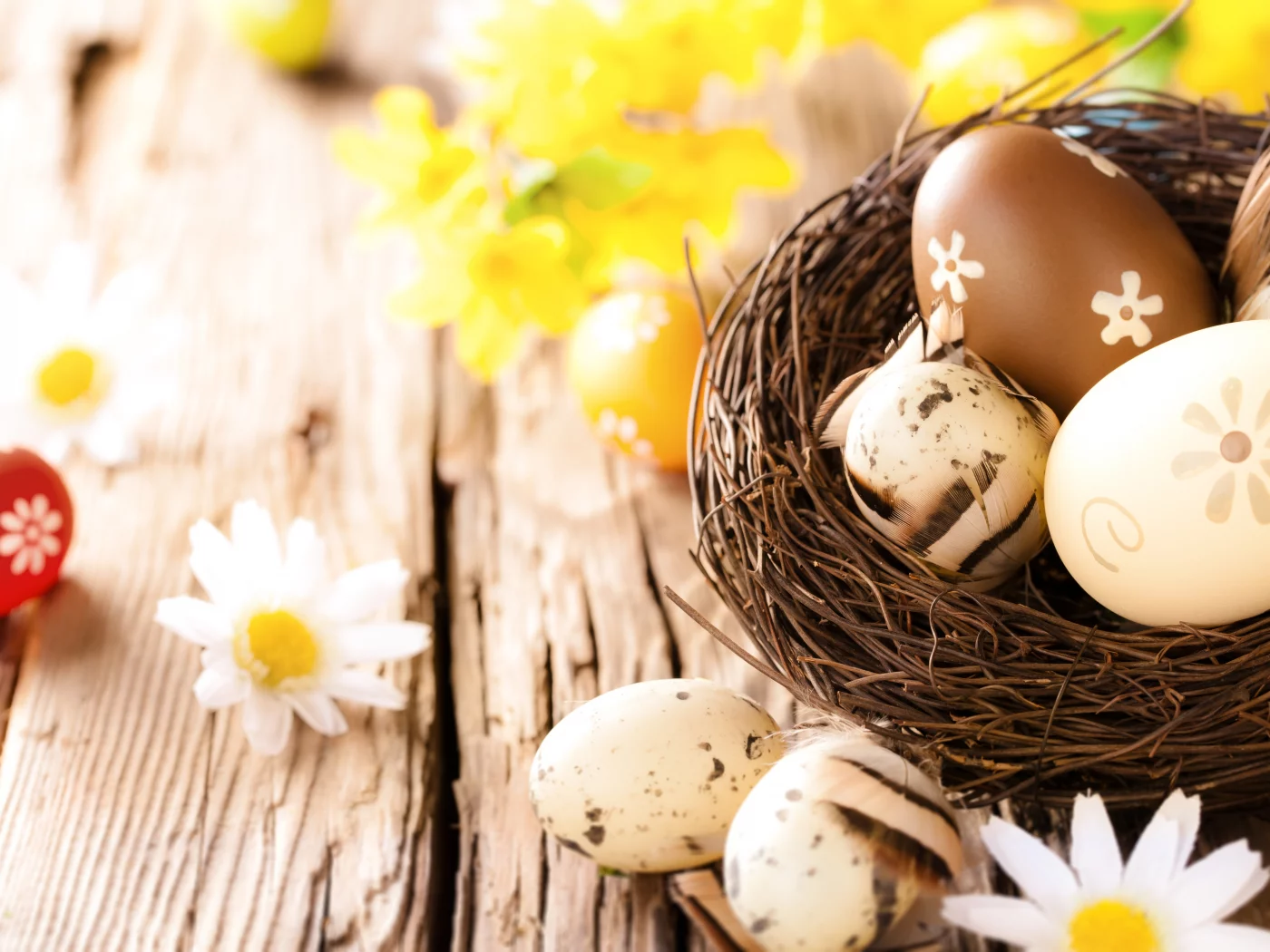 flowers, пасха, яйца, easter, eggs, ромашки, camomile, wood