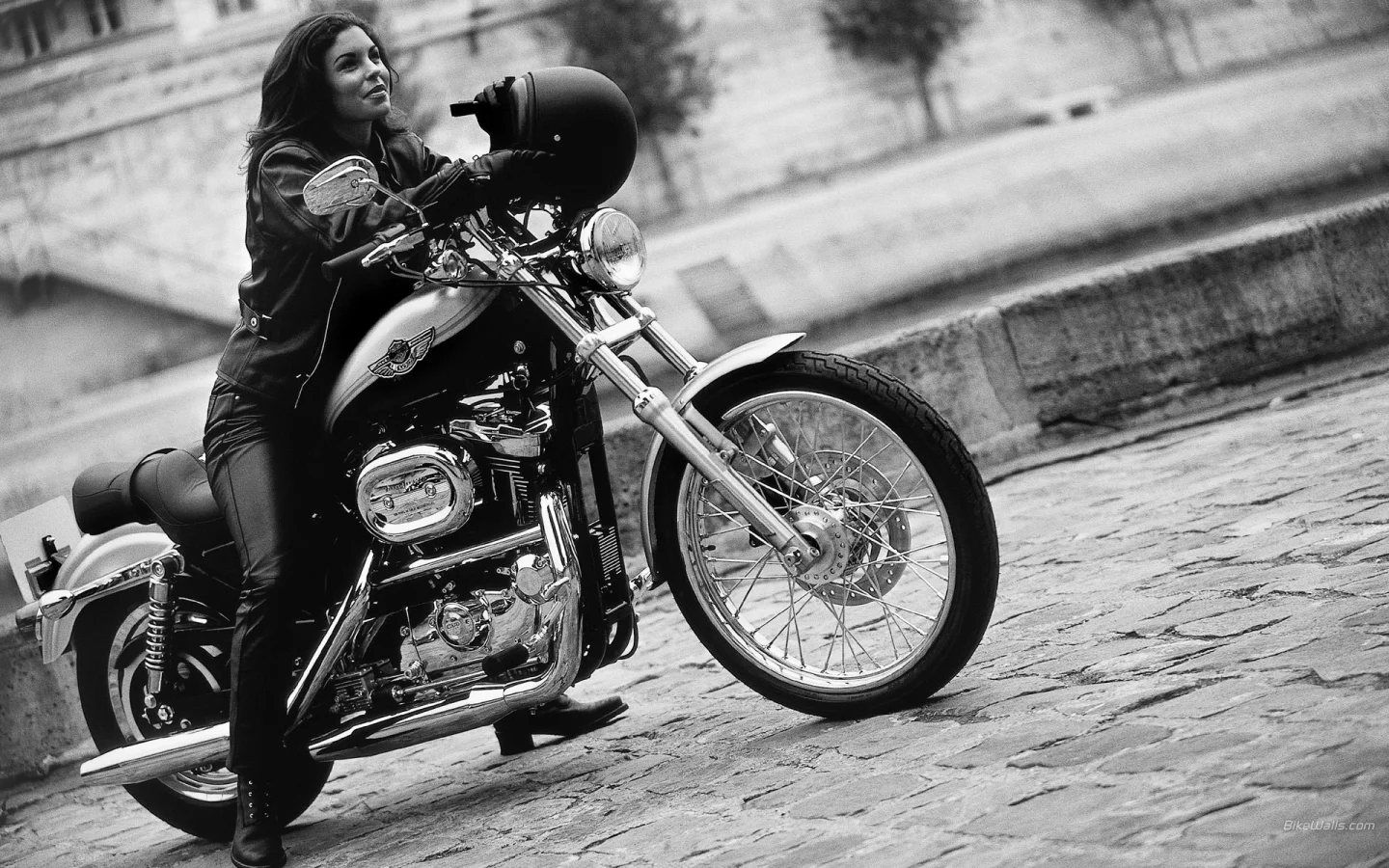 harley davidson, девушка, мотоцикл, шлем, байк