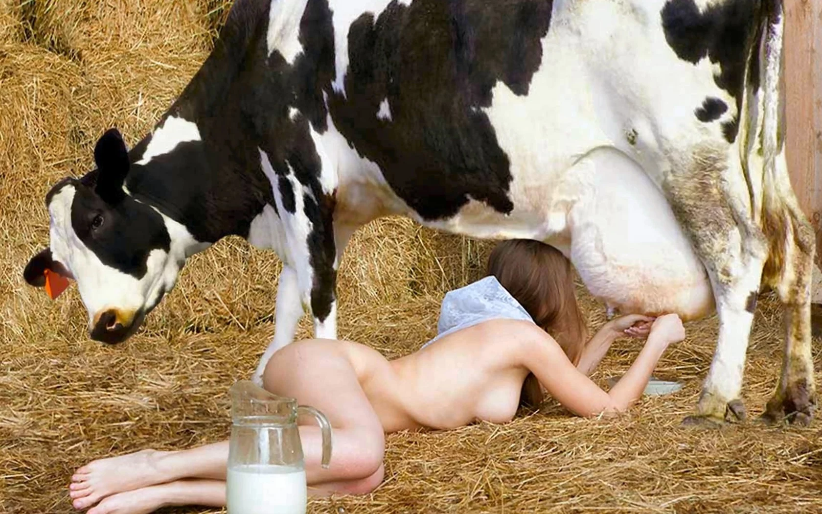 девушка, блондинка, стройная, грудь, природа, корова