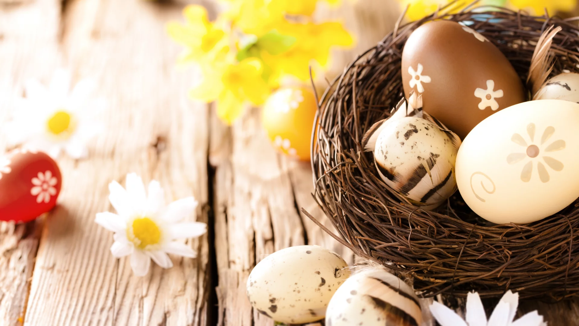 flowers, пасха, яйца, easter, eggs, ромашки, camomile, wood