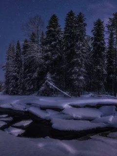 зима, ночь, снег