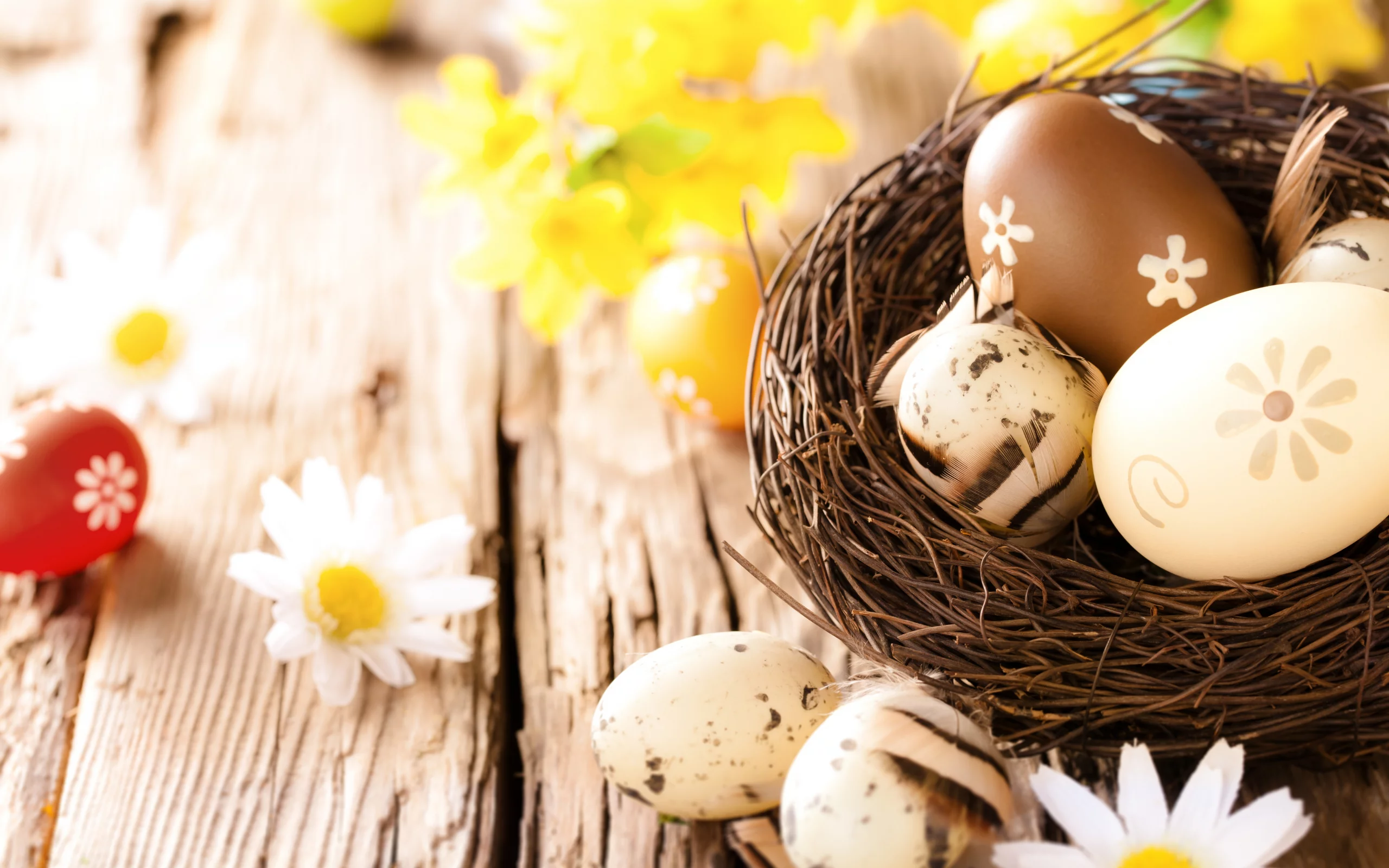 flowers, пасха, яйца, easter, eggs, ромашки, camomile, wood