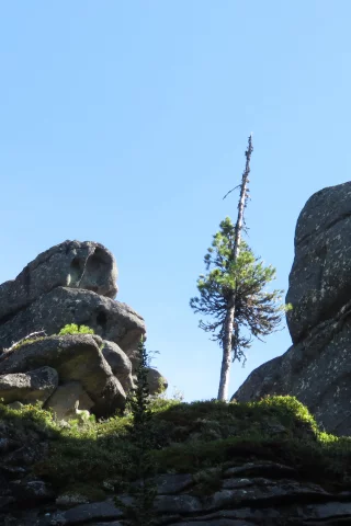 горы, деревья, каменный городок, саяны, тп