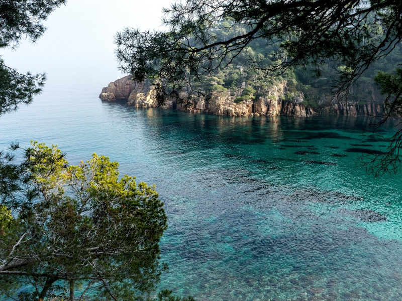 остров, море, деревья