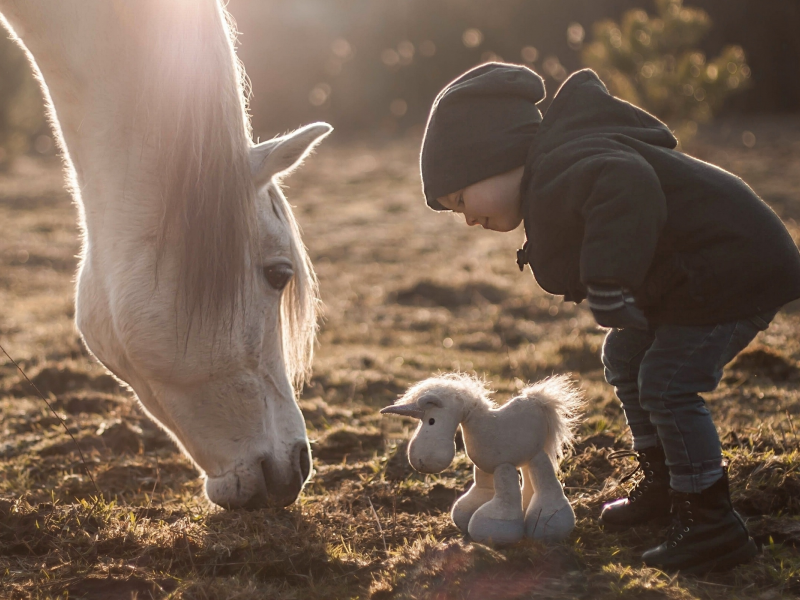 ребенок, лошадь, игрушка, пони, конь, животное, единорог, мальчик, сын, детство, белый