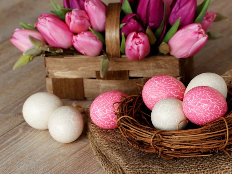 яйца, белые, гнездо, easter, пасхальные, пасха, розовые