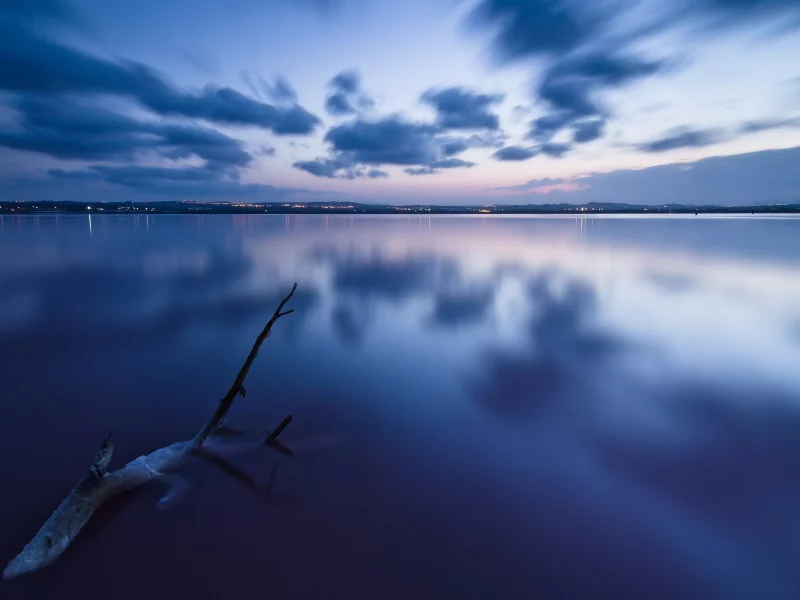 облака, море, пейзаж, вода, дерево, небо, природа