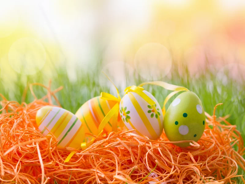 пасхальные яйца, easter, яйца, пасха, happy easter