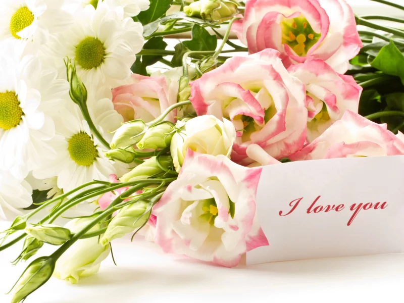 хризантемы, эустома, ove you