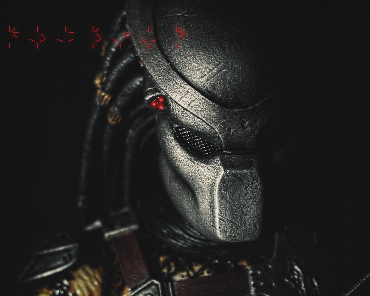 predator, хищник, тварь, шлем, существо, маска, символы