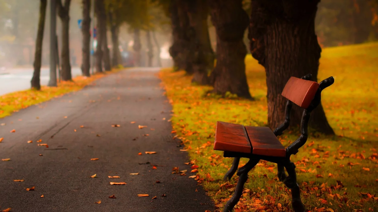 road, hdr, leaves, forest, walk, grass, trees, autumn, листья, colors, park, bench, nature