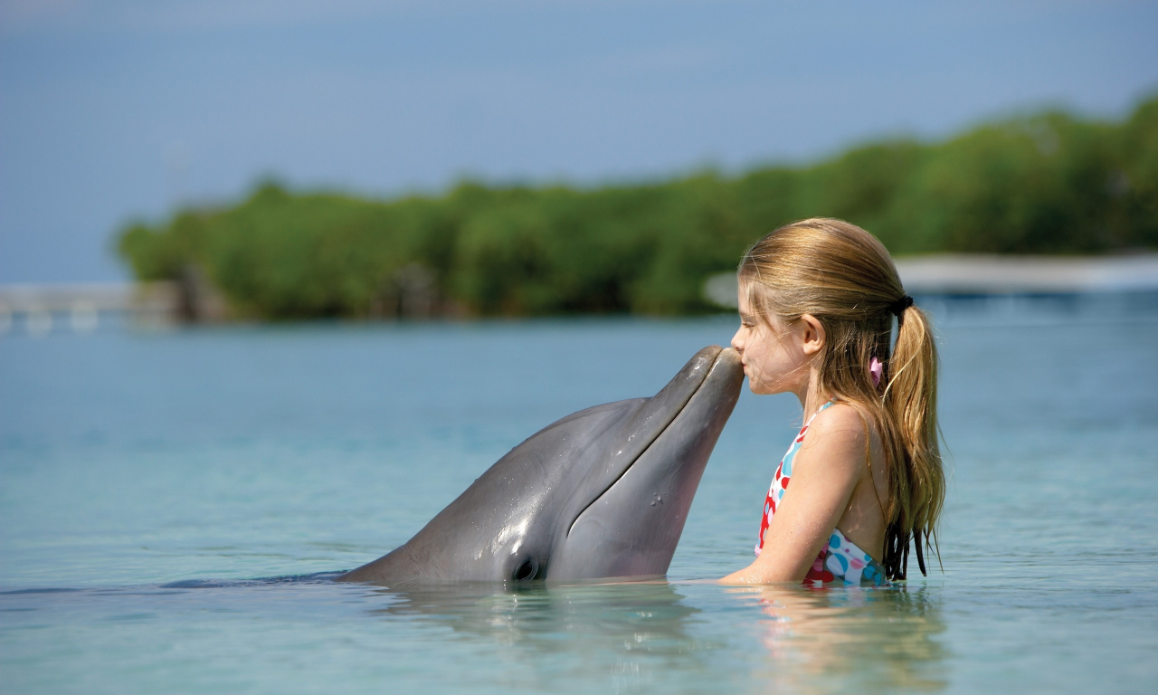 дельфин, девочка, море, вода, берег, деревья