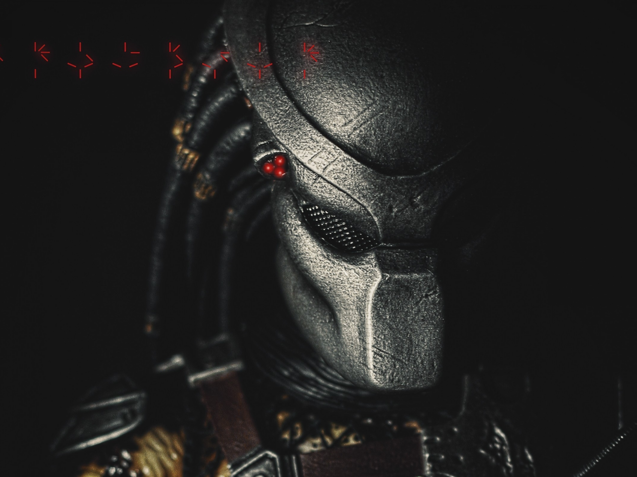 predator, хищник, тварь, шлем, существо, маска, символы