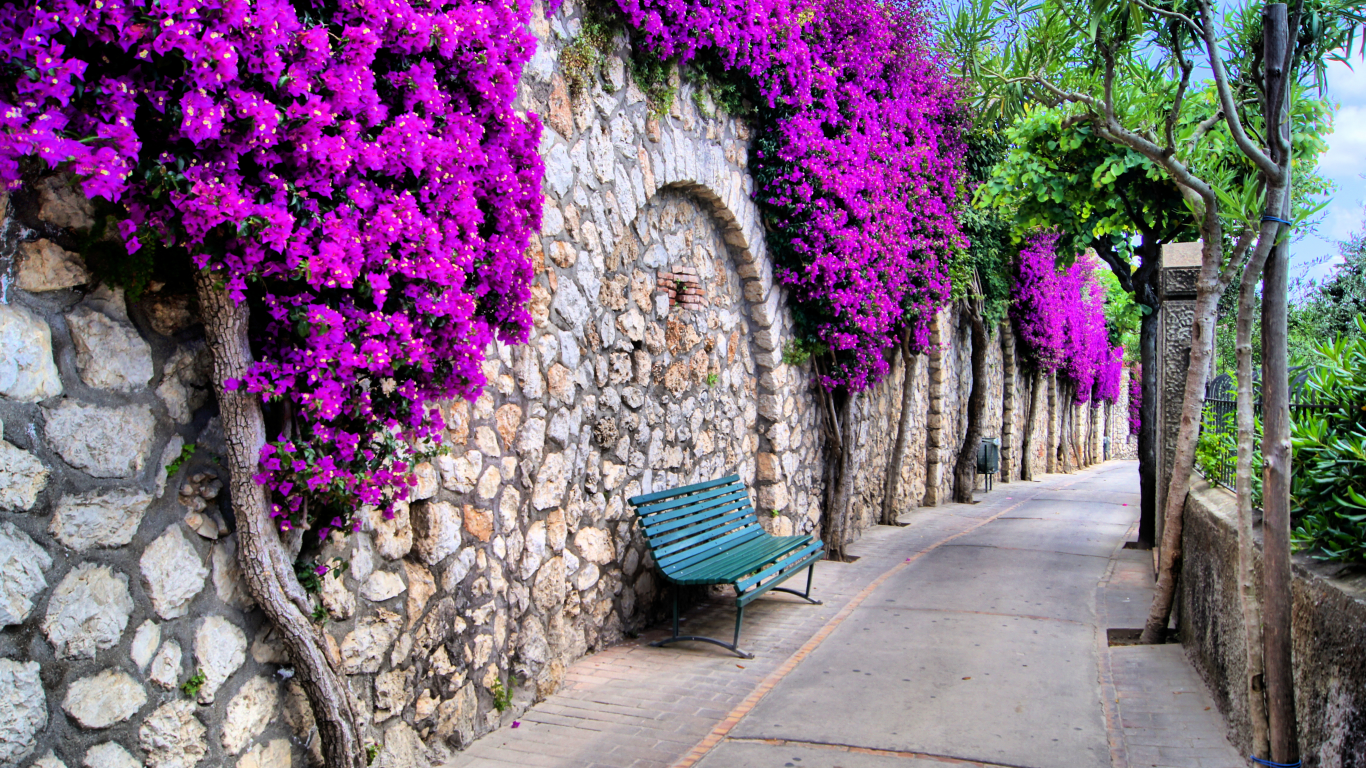 italy , bench, streets, flowers, beautiful, trees, город, красивый, city 