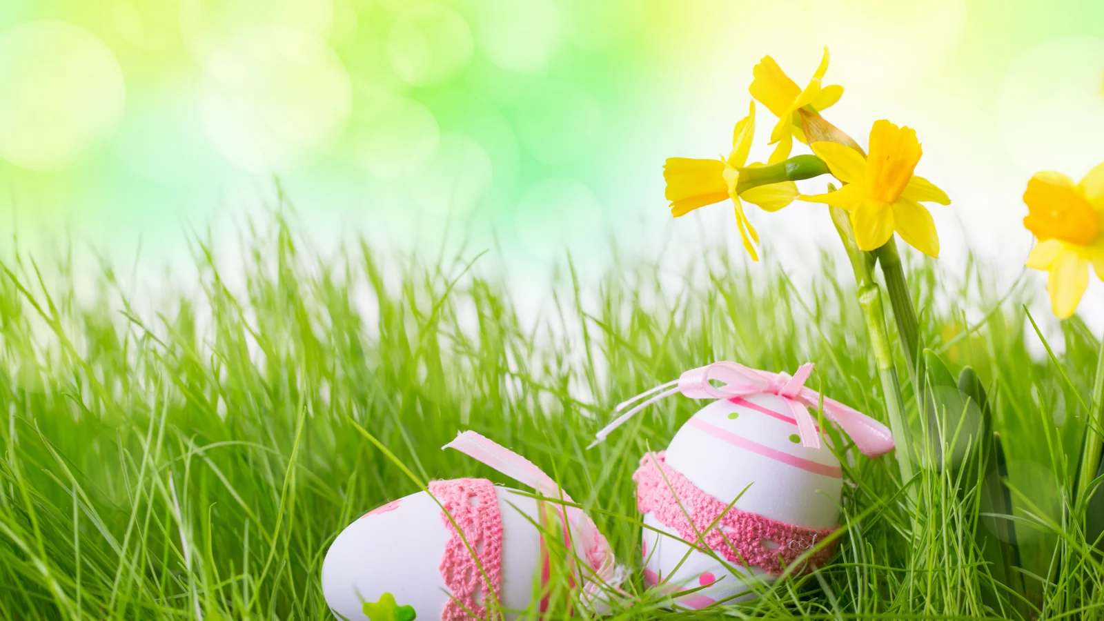 пасха, яйца, пасхальные яйца, easter, happy easter
