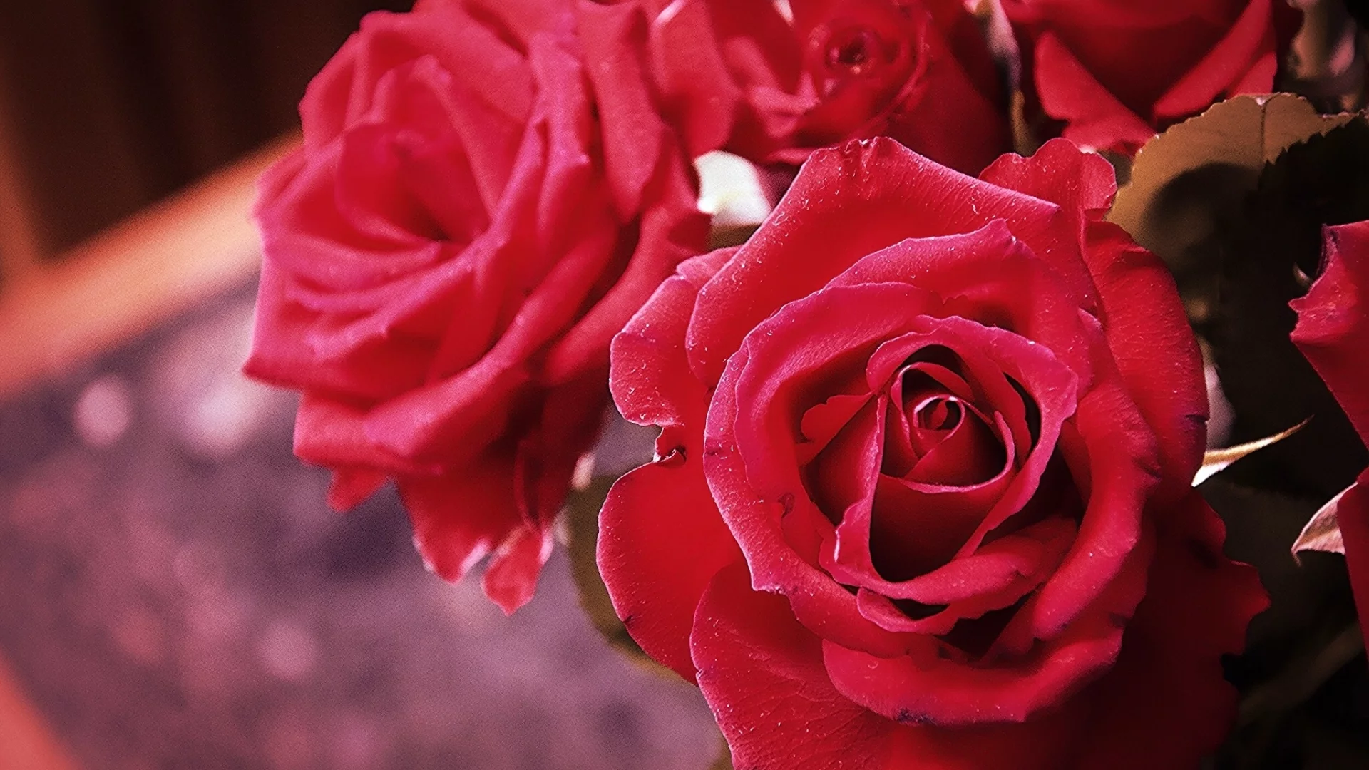 розы, цветы