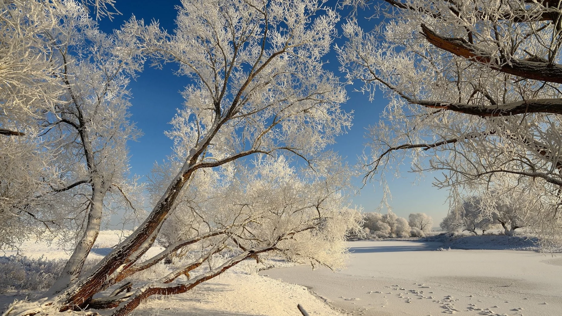 пейзаж, природа