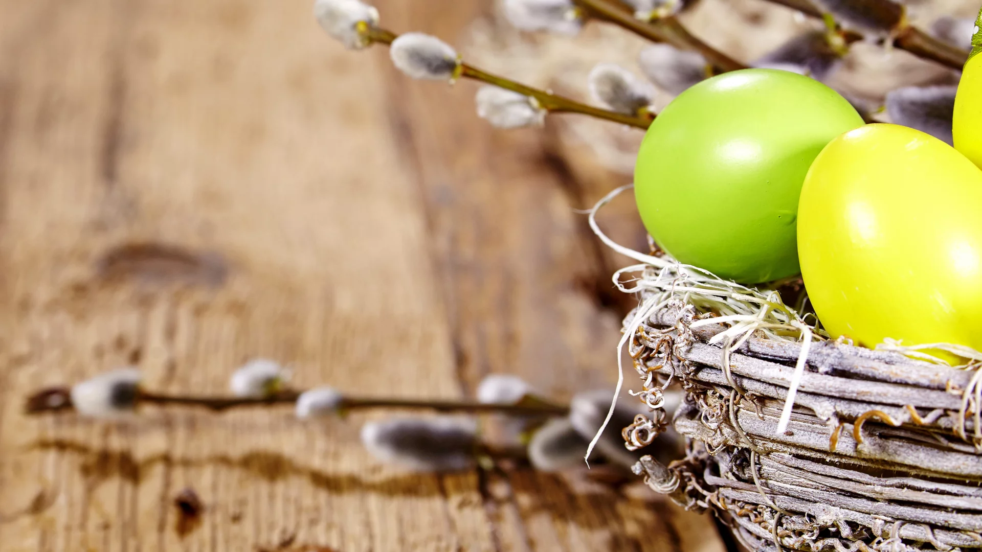 eggs, easter, willow twig, decoration, spring, верба, весна, пасха