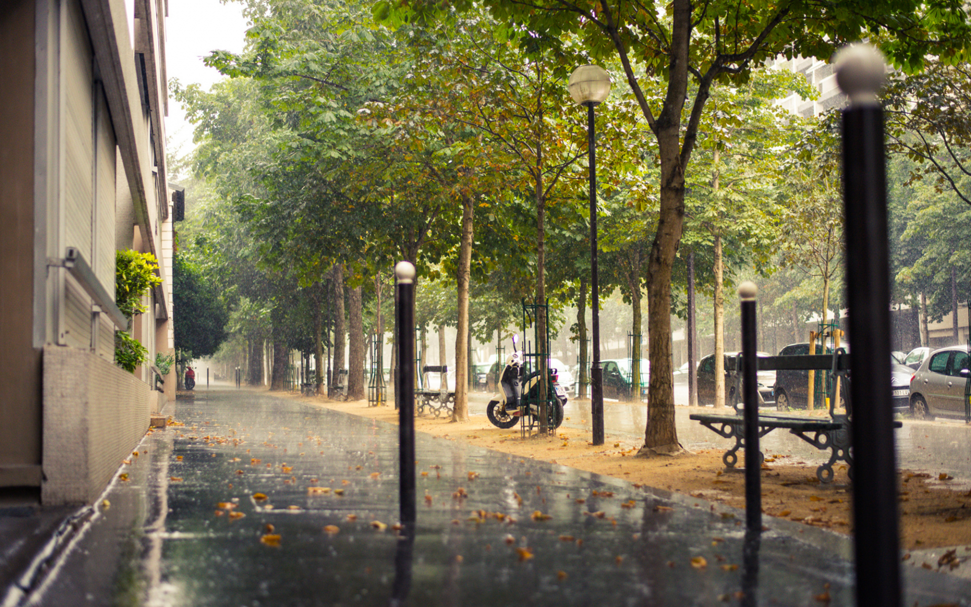 тротуар, франция, город, paris, france, париж, дождь, улица
