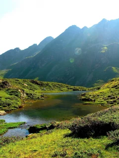 зелень, склон, лучи, пейзаж, солнце, лето, река, горы