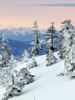 деревья, горы, снег