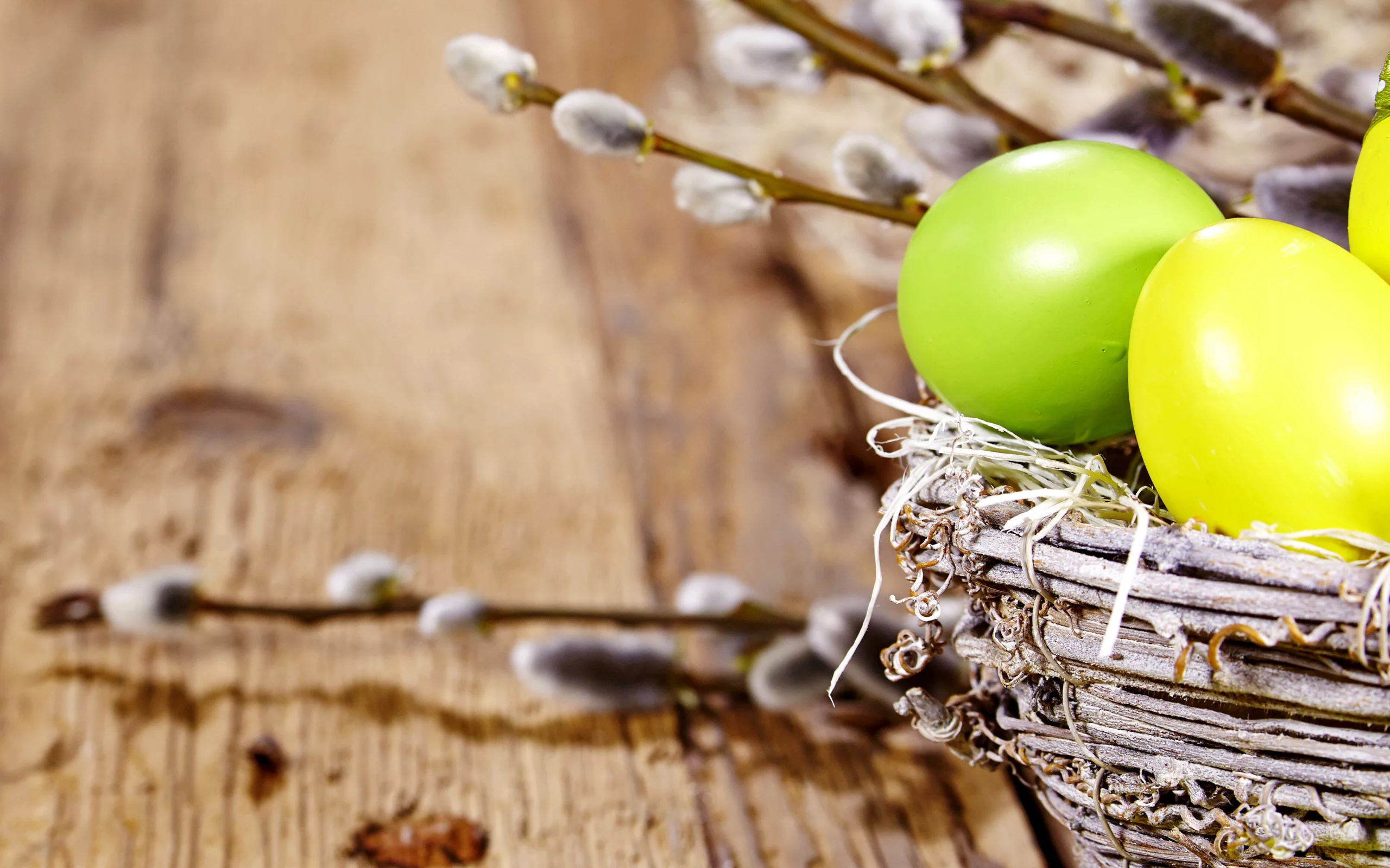 eggs, easter, willow twig, decoration, spring, верба, весна, пасха