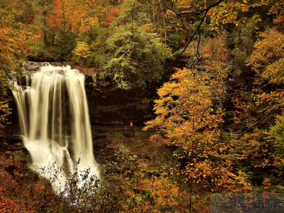 лес, река, водопад, осень