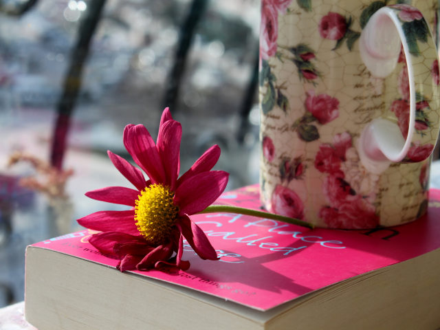 цветок, чашка, лепестки, кружка, книга, розовые