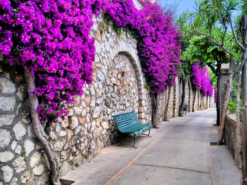 italy , bench, streets, flowers, beautiful, trees, город, красивый, city 