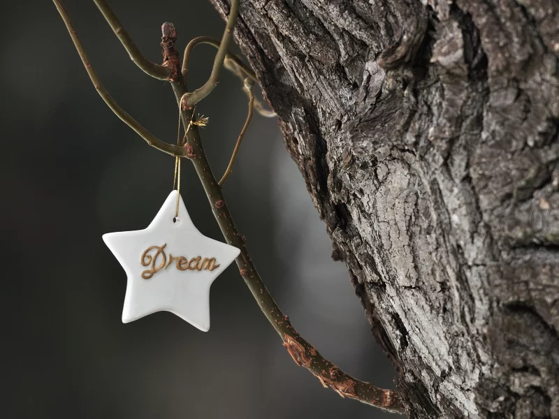 cold, holiday, winter, christmas, dream