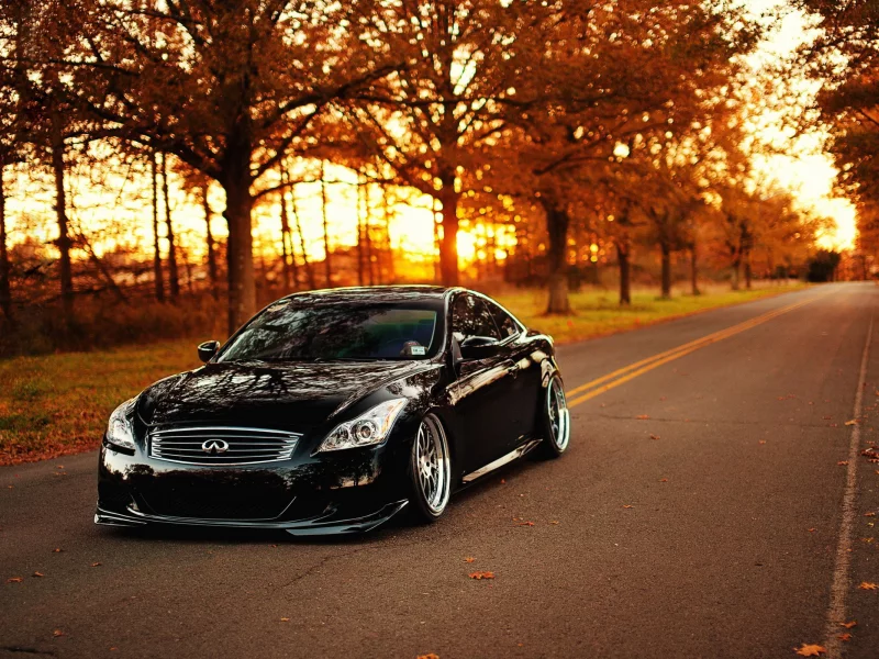 infiniti, авто, машина, черный, дорога, осень