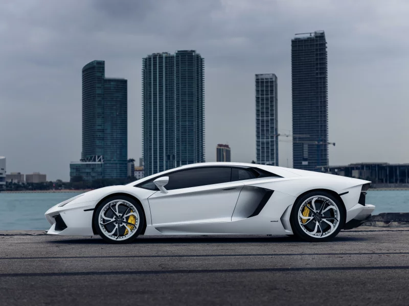 white, vellano mc customs, lamborghini, aventador
