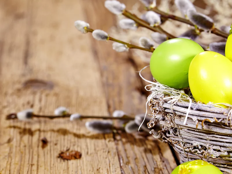 eggs, easter, willow twig, decoration, spring, верба, весна, пасха