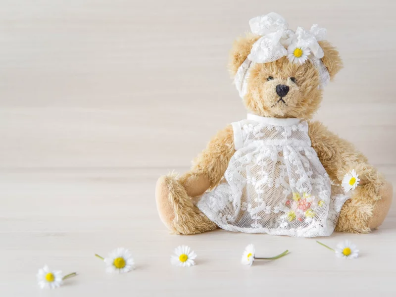 игрушка, медведь, девочка, платье, бант, ромашки