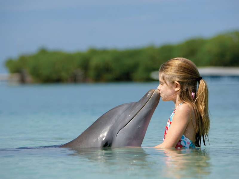 дельфин, девочка, море, вода, берег, деревья
